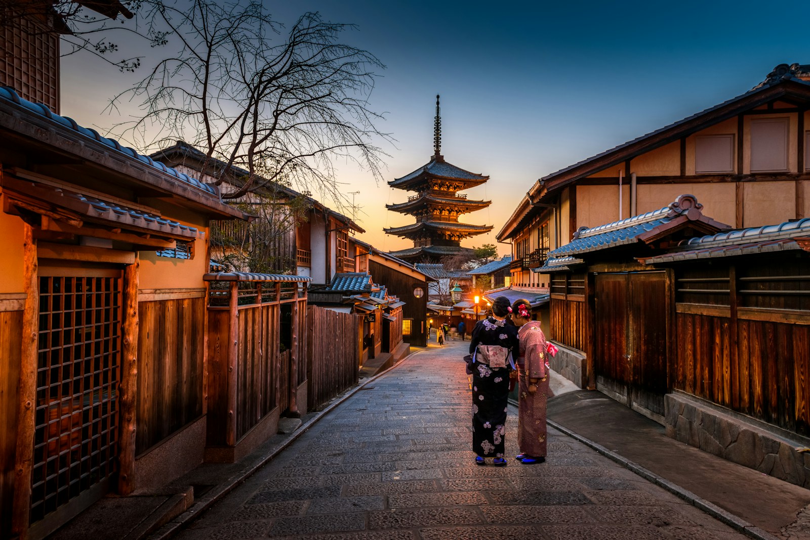 京都の桜
