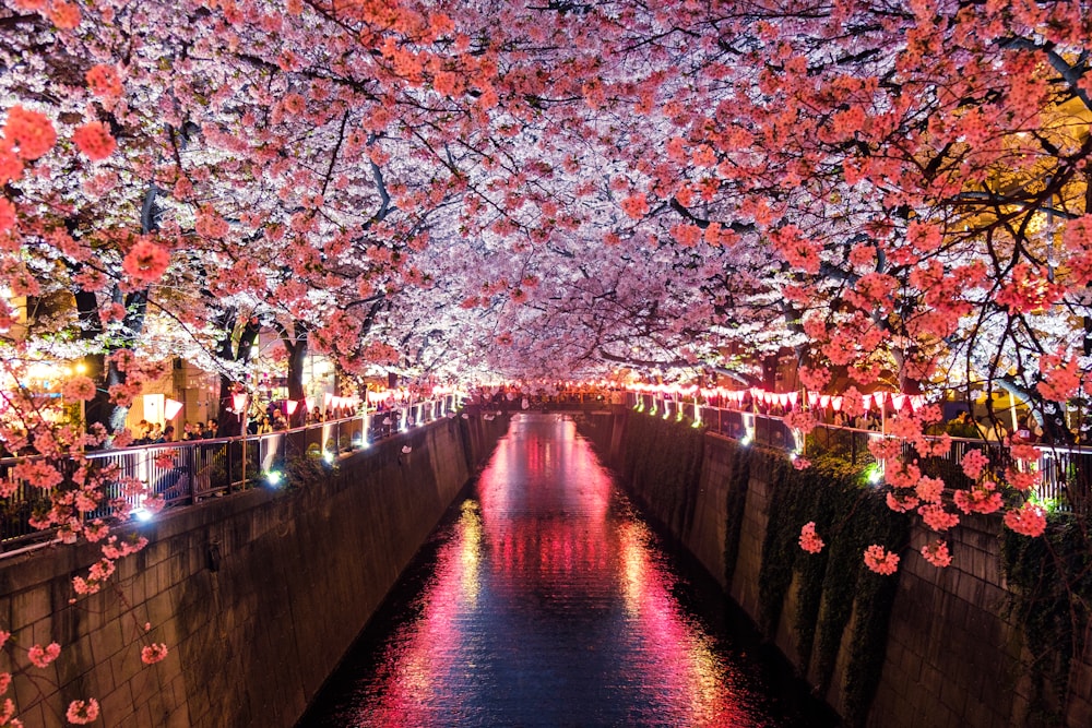 夜桜スポット早わかりマップ