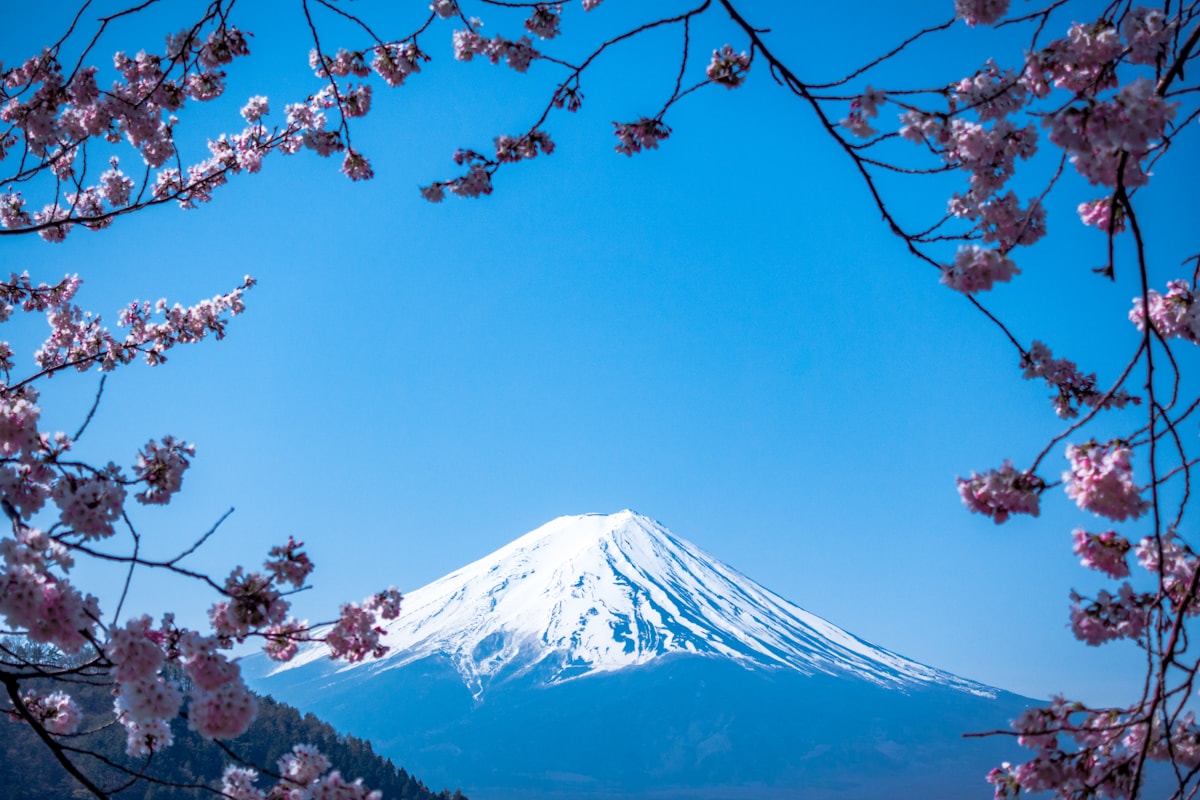 冬