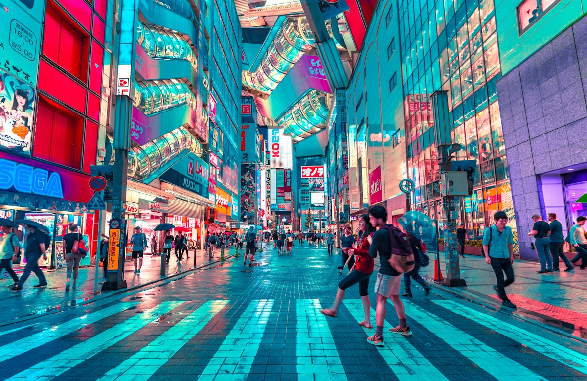 桜井 美咲
